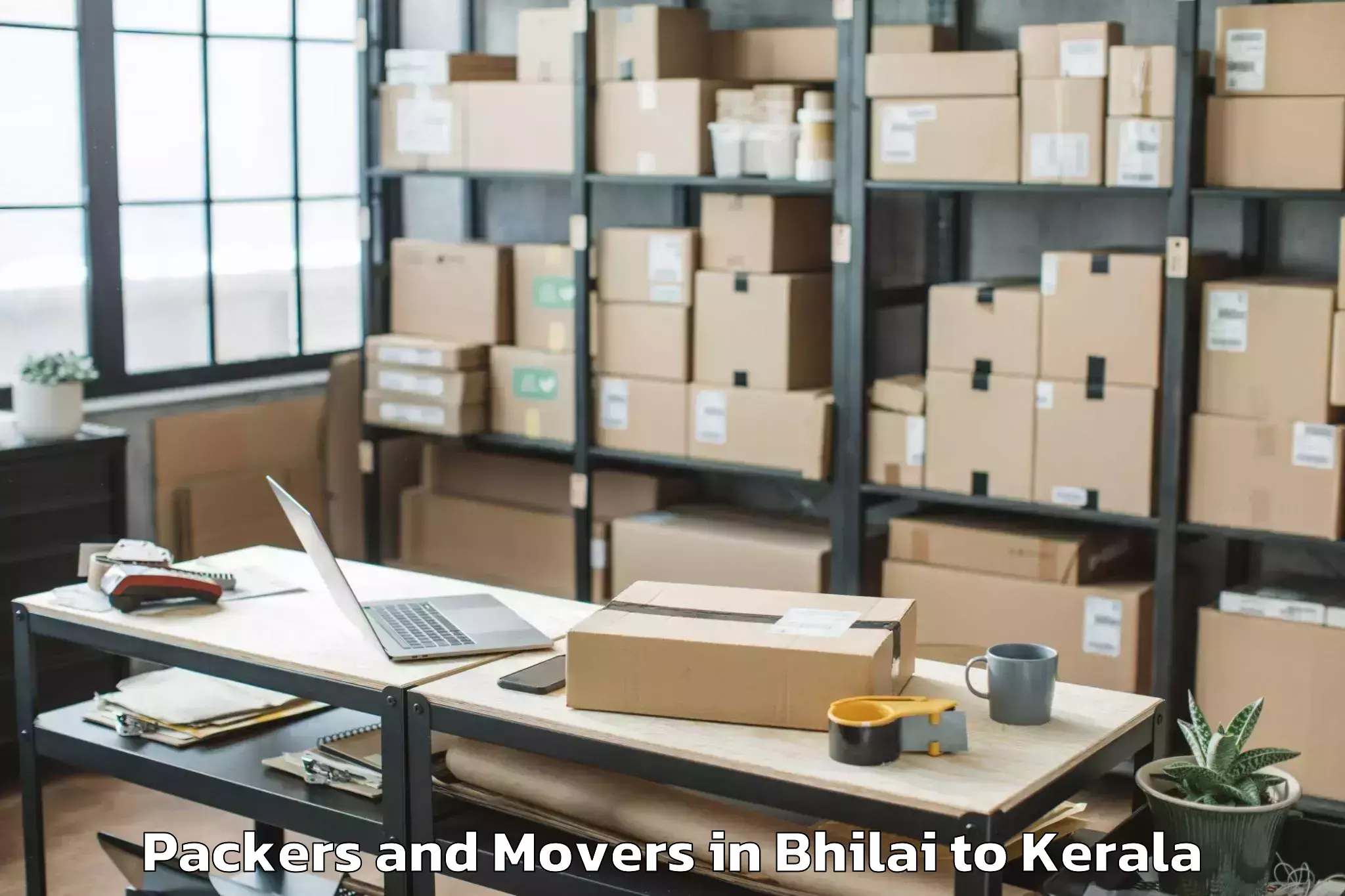 Leading Bhilai to Idukki Packers And Movers Provider